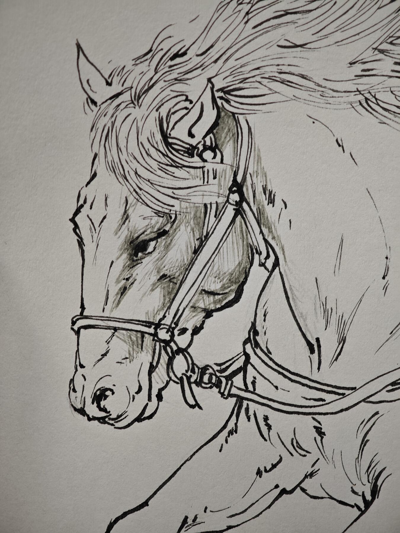 白泽拍卖卡牌手绘专场第30期（白金之夜 跨年大拍）