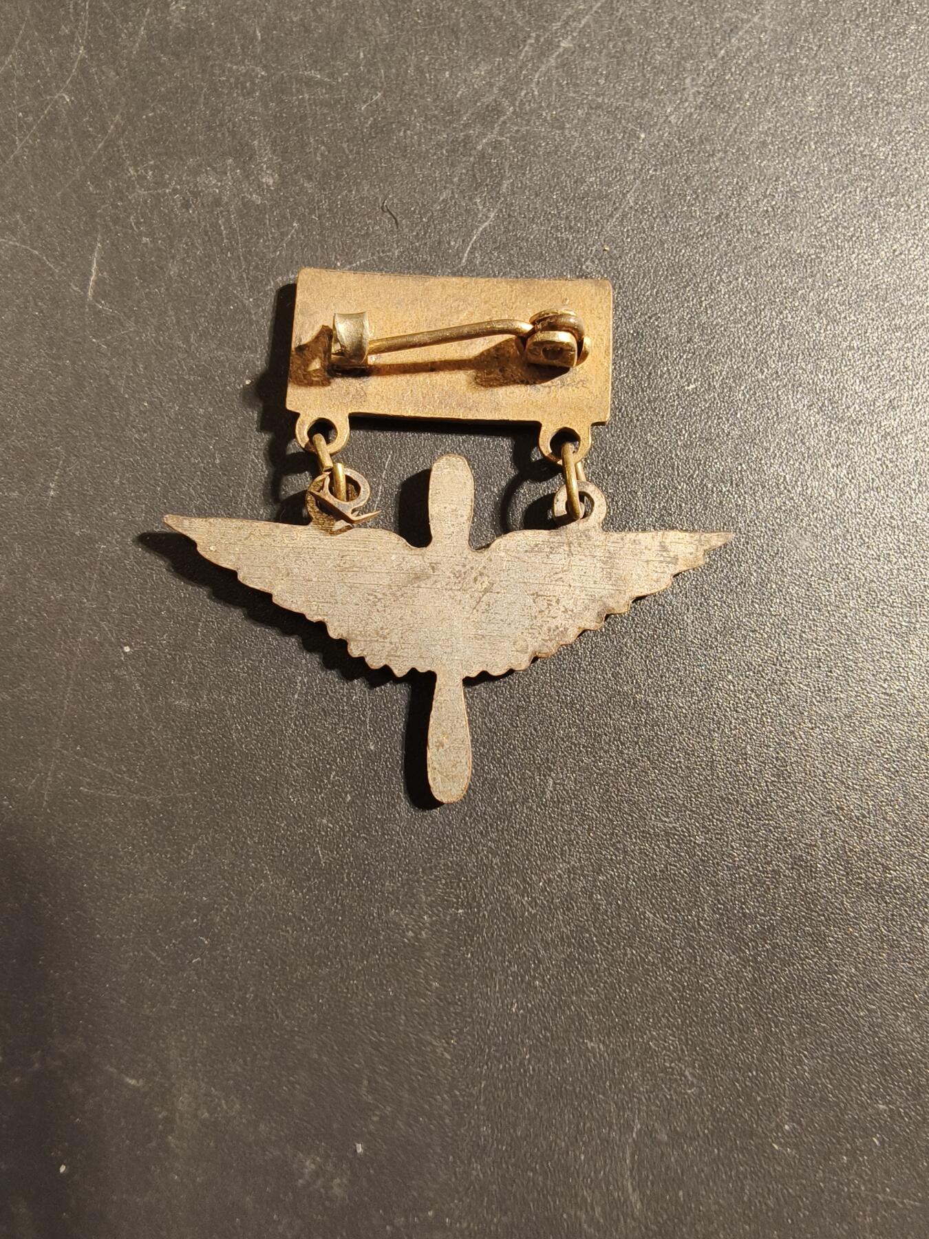 老王徽章第172期 美国二战陆军航空兵蓝星证章    授予二战时期有子女在陆军航空兵单位服役的家庭成员佩戴