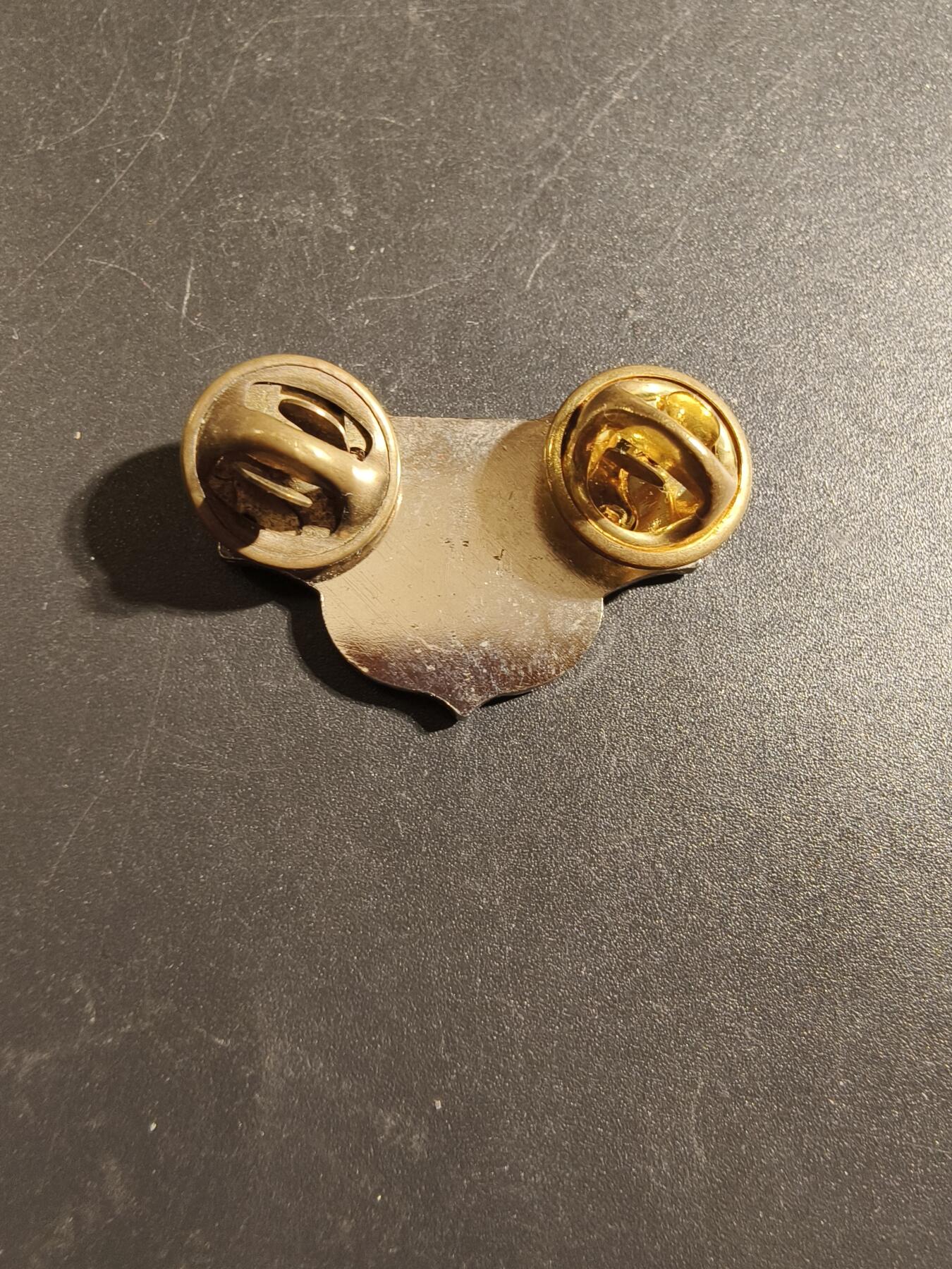 老王徽章第172期 美国闵行巡逻队空军一等学员金属军衔    