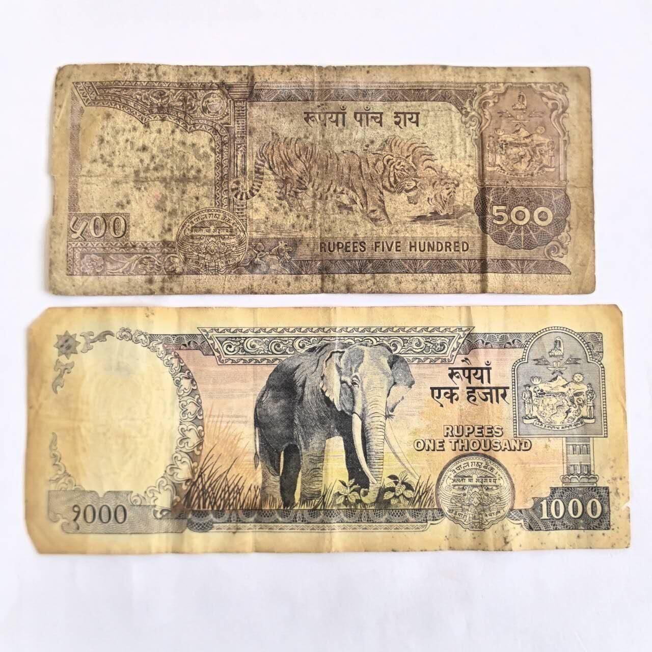 各国外币第105期 无佣金 尼泊尔500卢比 2张