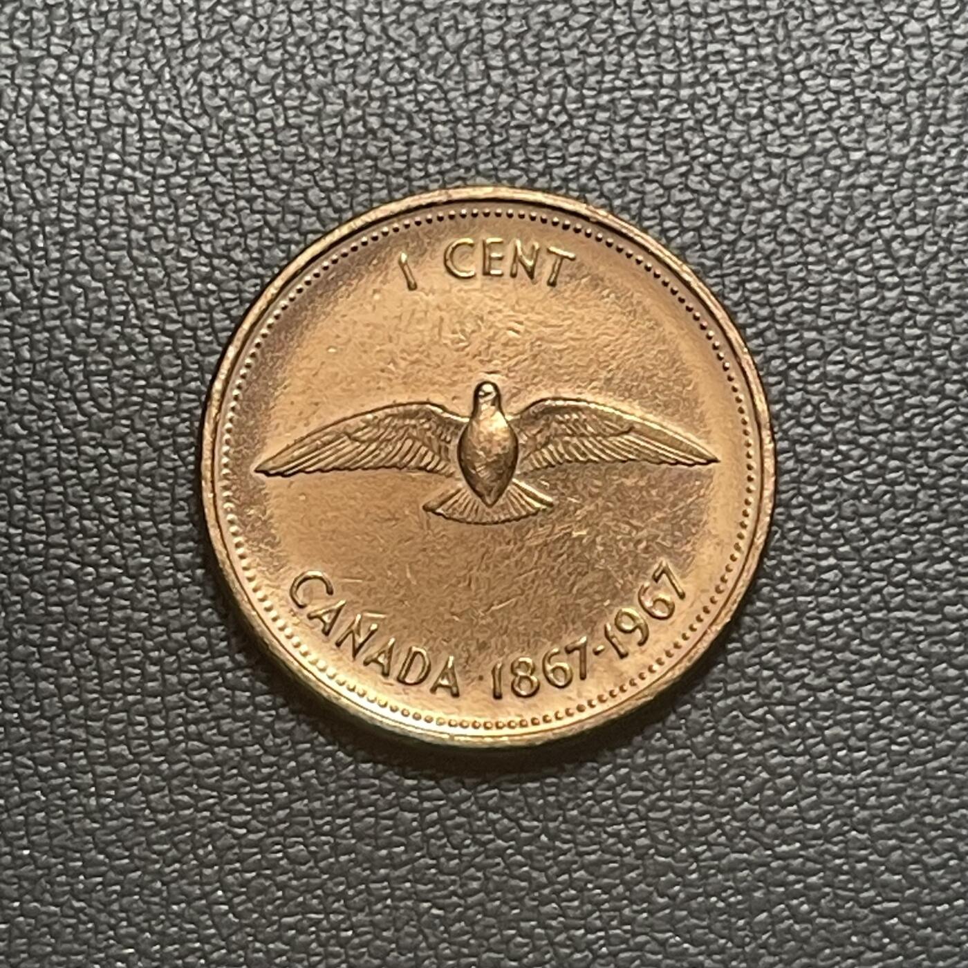 回流1228 加拿大1967年1分 加拿大联邦成立100周年 旅鸽（已灭绝）
