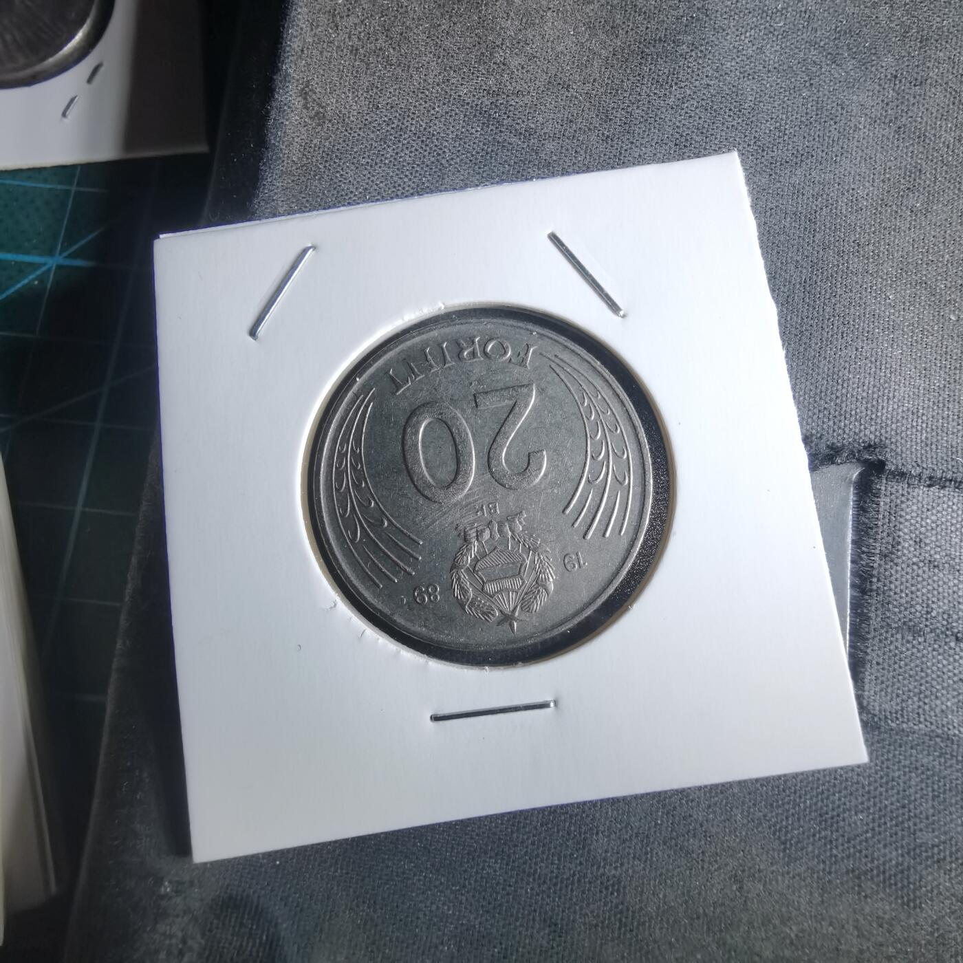 沼泽如烟--第946场