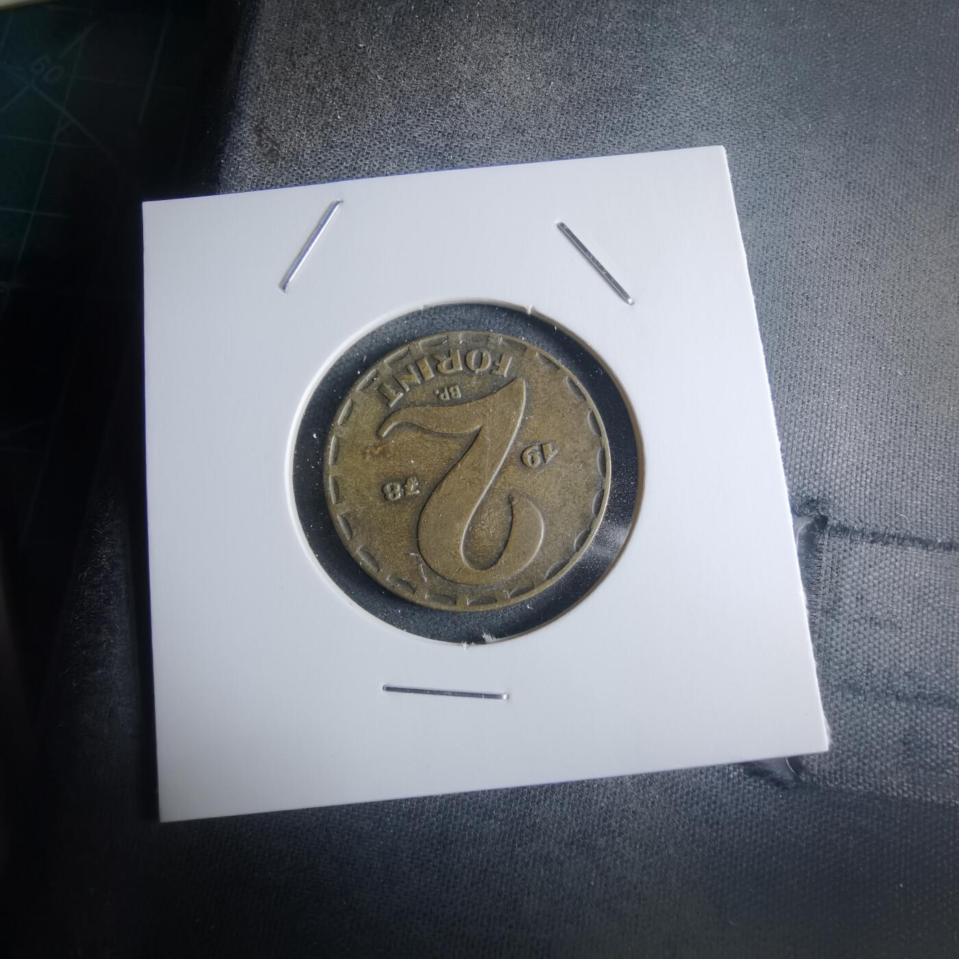 沼泽如烟--第946场