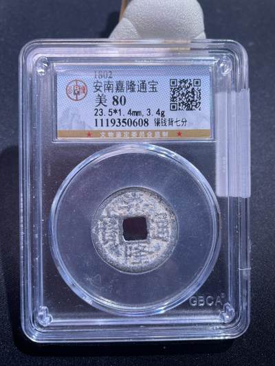 捡漏专场 - 安南嘉隆通宝