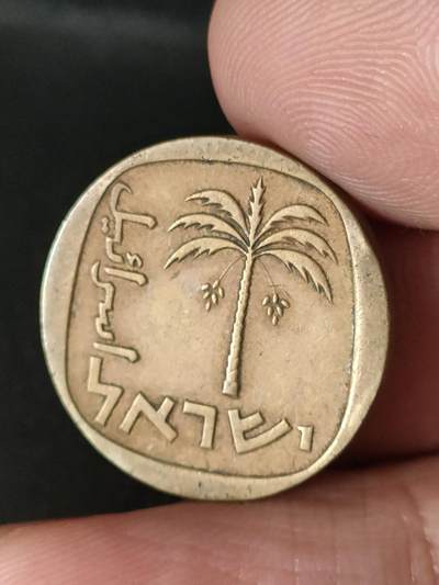 猩哥外币小铺➨【第213场】 - 中东