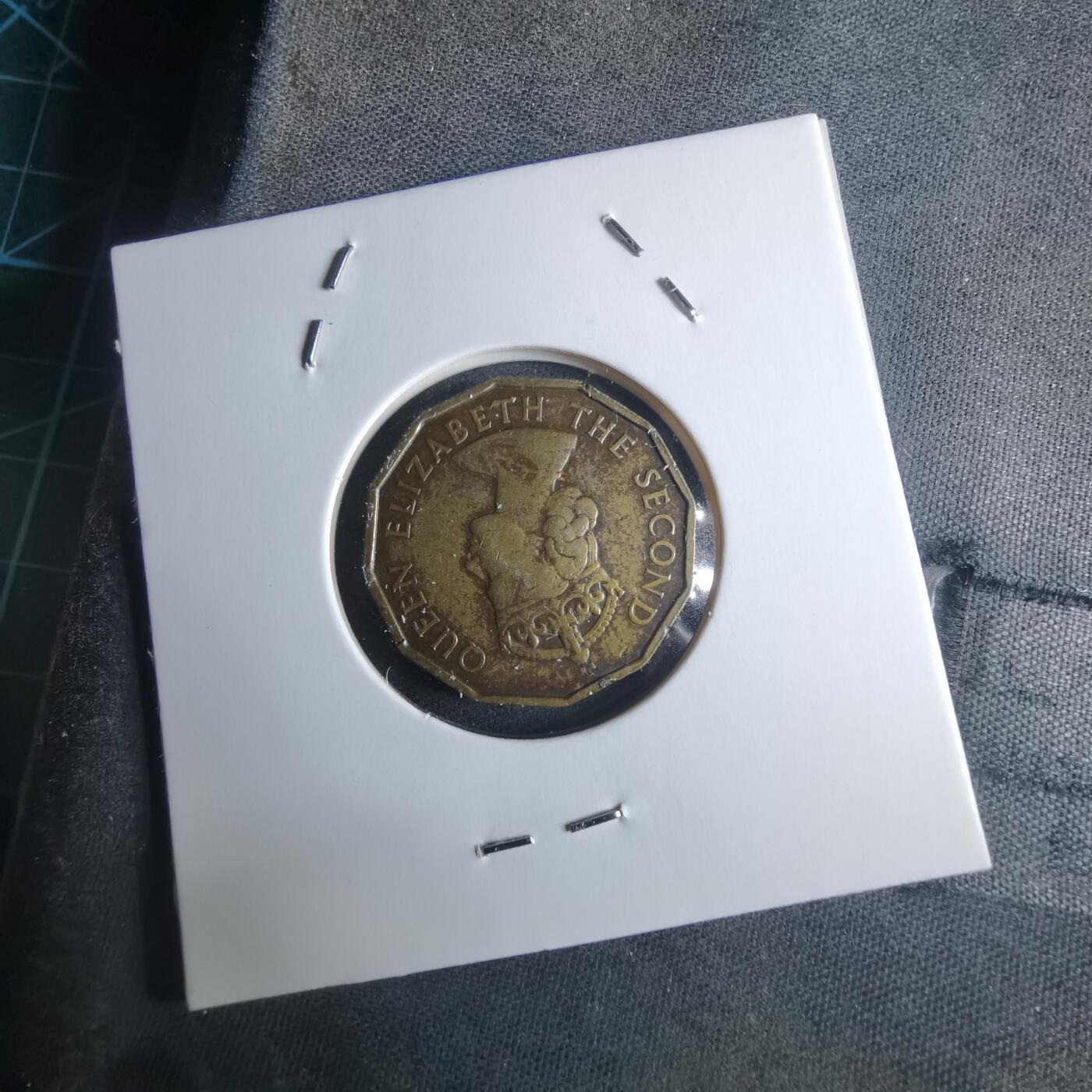 沼泽如烟--第946场