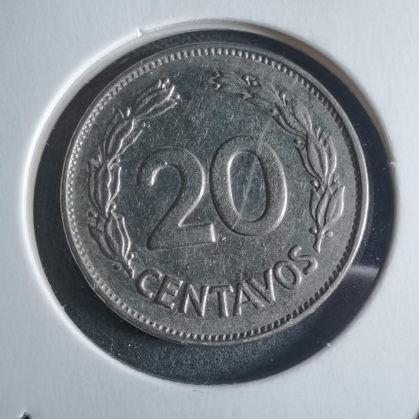 沼泽如烟--第946场