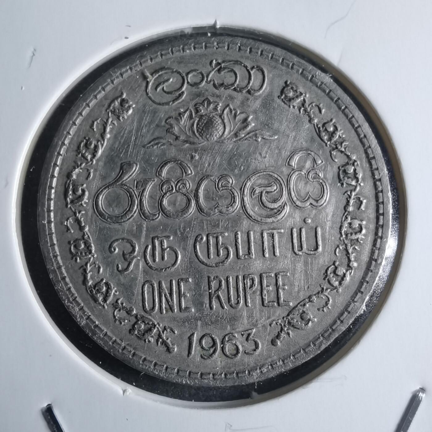 沼泽如烟--第946场