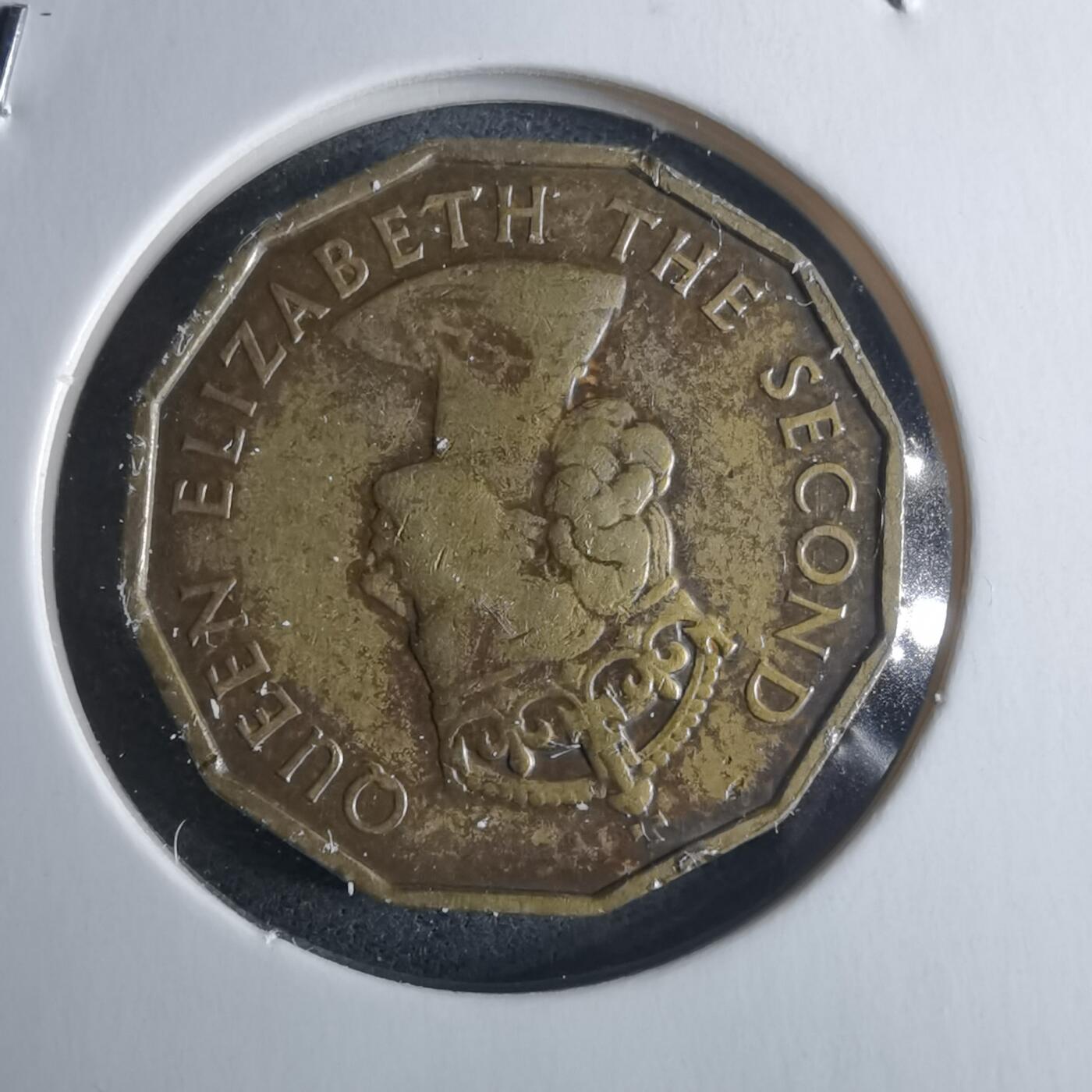 沼泽如烟--第946场