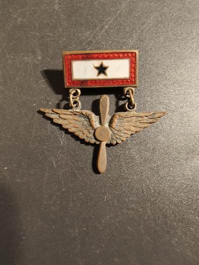 老王徽章第172期 - 美国二战陆军航空兵蓝星证章    授予二战时期有子女在陆军航空兵单位服役的家庭成员佩戴