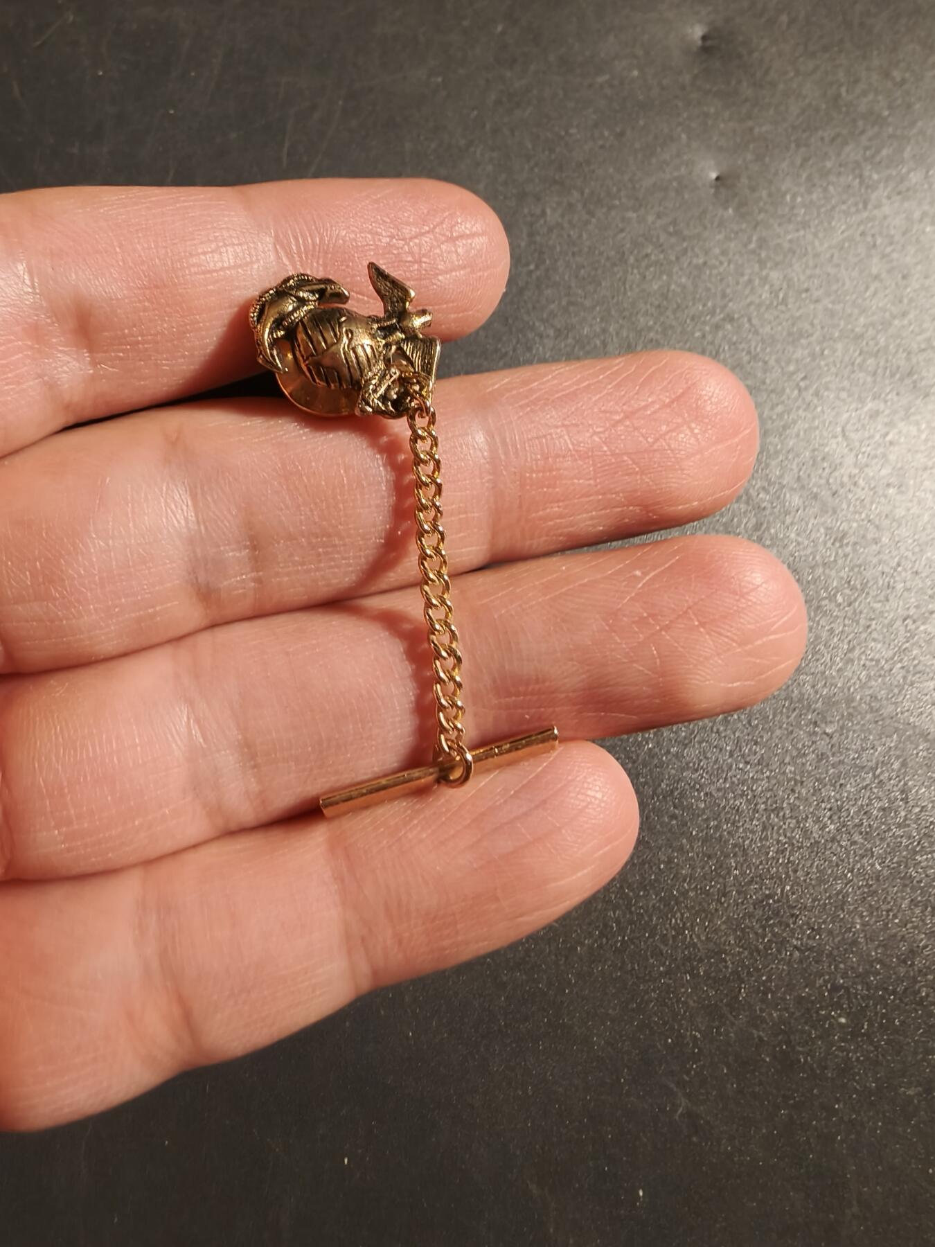 老王徽章第172期 美国海军陆战队链章