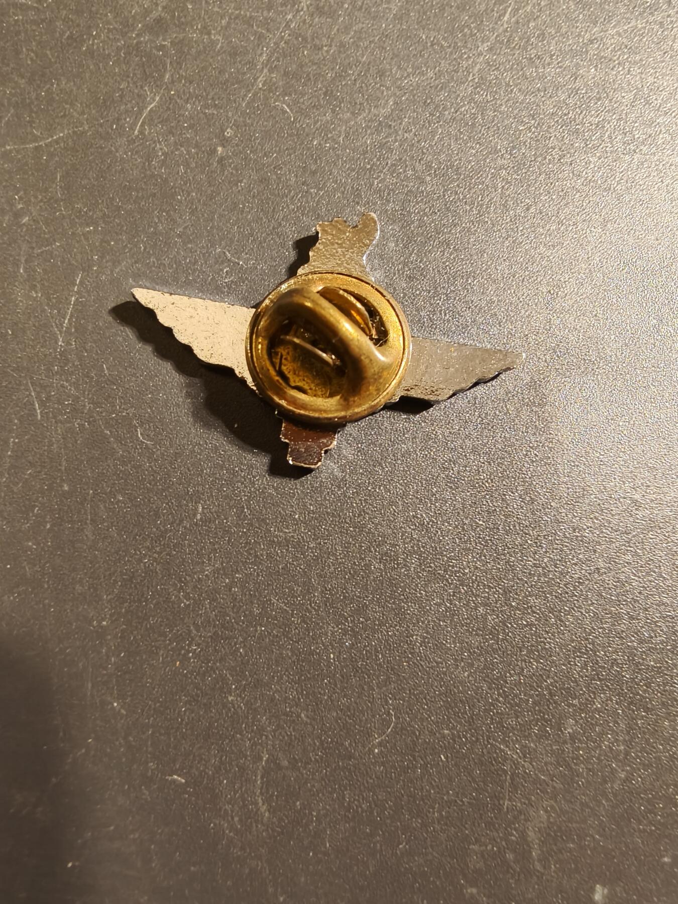 老王徽章第172期 英国皇家空降团证章