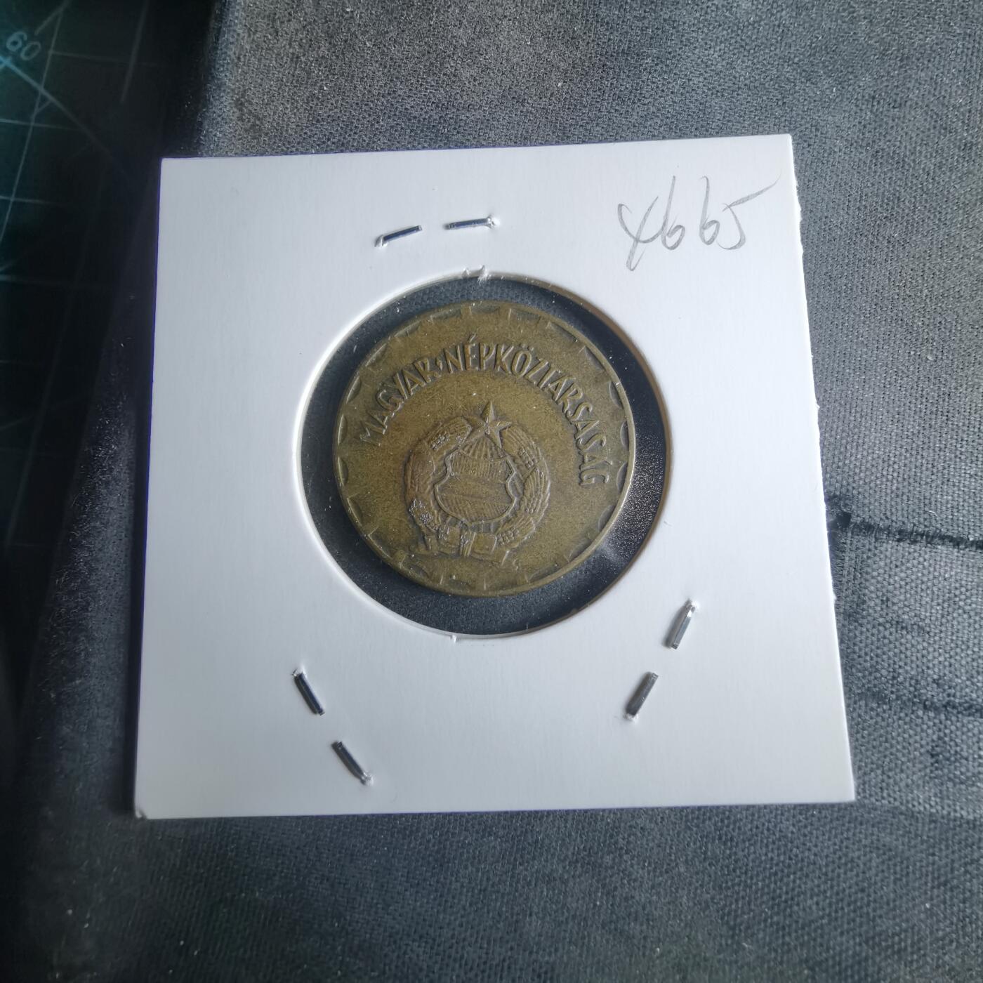 沼泽如烟--第946场