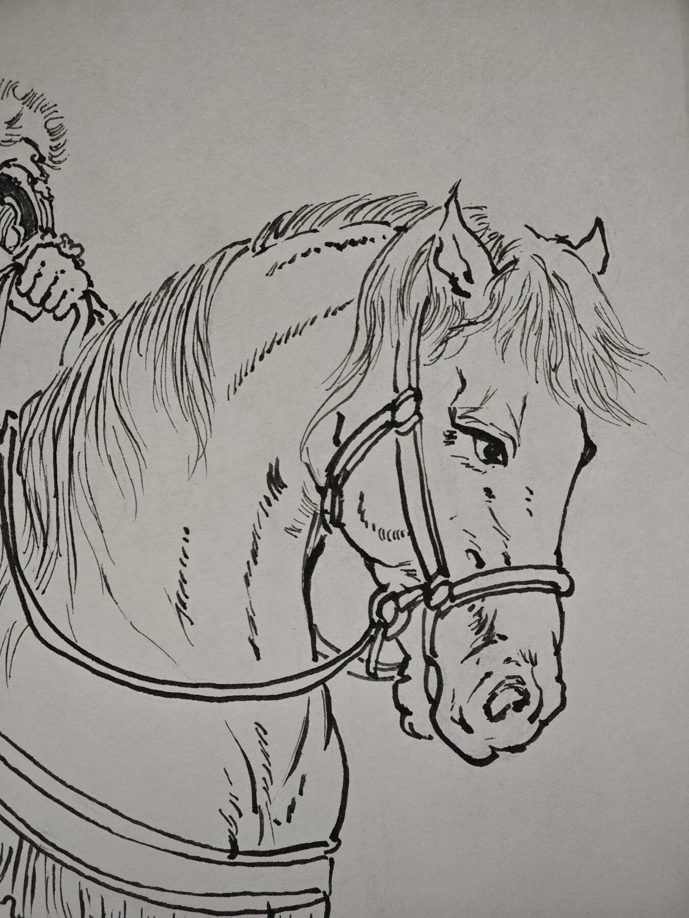 白泽拍卖卡牌手绘专场第30期（白金之夜 跨年大拍）