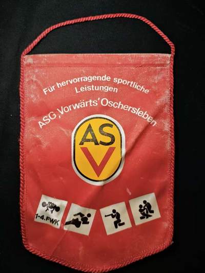 罗岚⭐爱藏⭐甄选专拍第三场-分享拍场赚佣（实体店在建中···） - 民主德国体育四项运动杰出体育成就奖旗  奥斯特斯莱本前进体育协会颁发