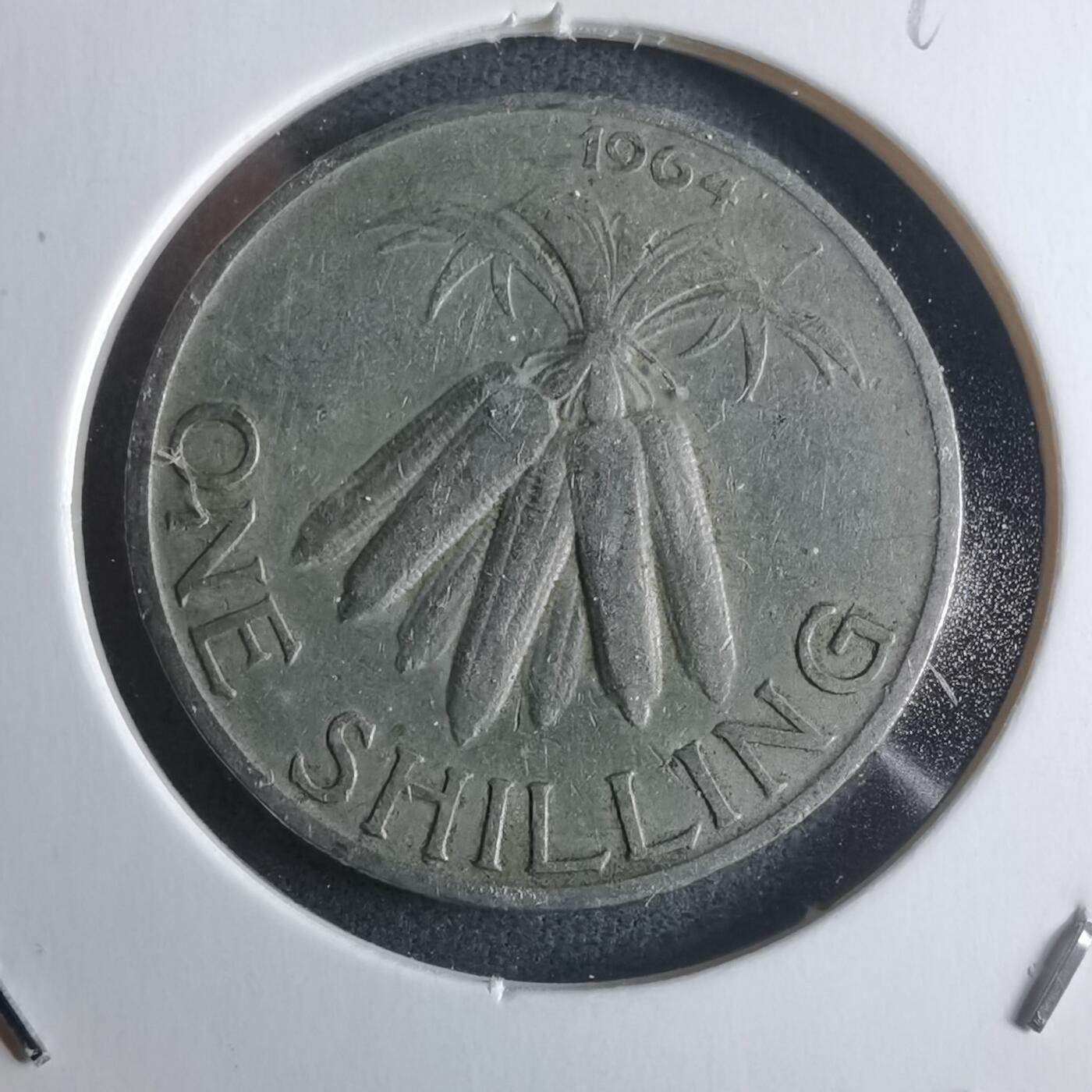 沼泽如烟--第946场