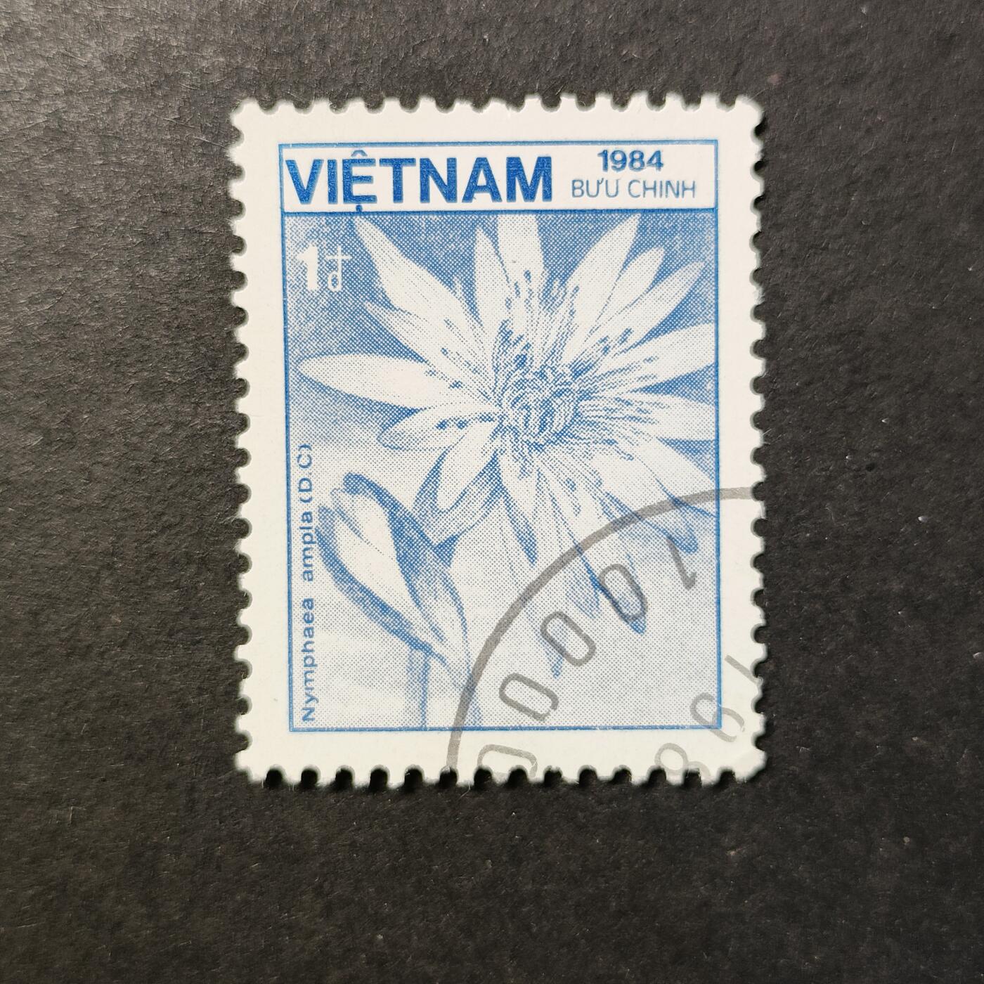 嘉禾收藏    【第418期】            无佣金、可寄存、满30元包邮