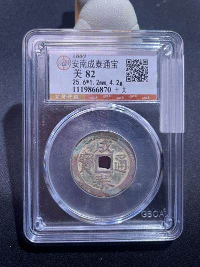 捡漏专场 - 安南成泰通宝