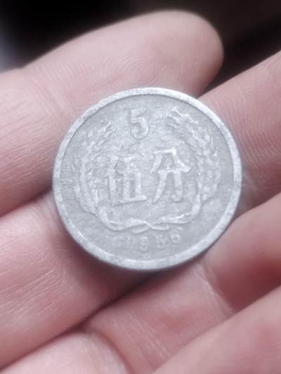 小小小钱币 - 1955年五分。