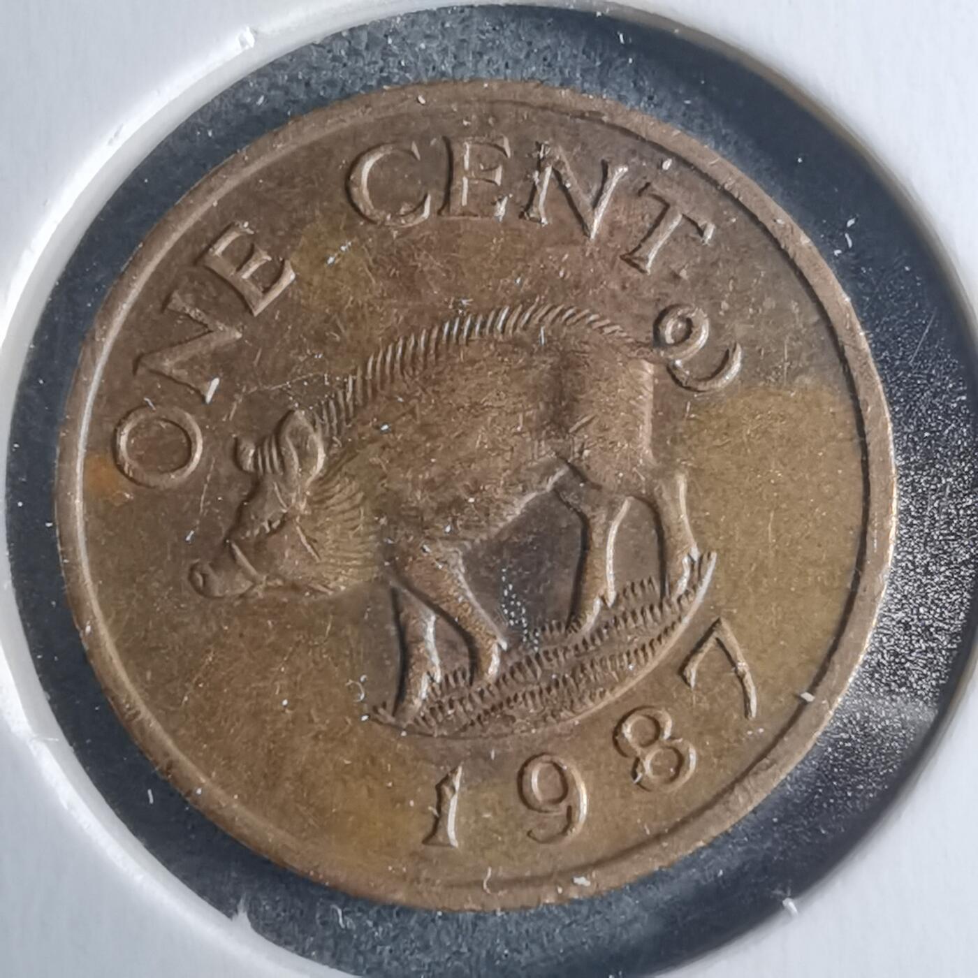 沼泽如烟--第946场 百慕大1987年一分