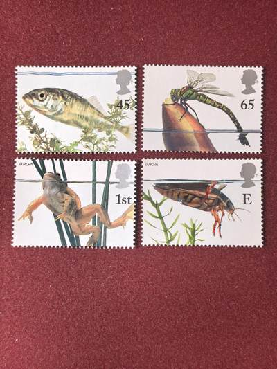 联合阁邮币社™ ——“多国邮票”👍🏻👏🏻👍🏻👏🏻 - 英国 水里动物 全套新