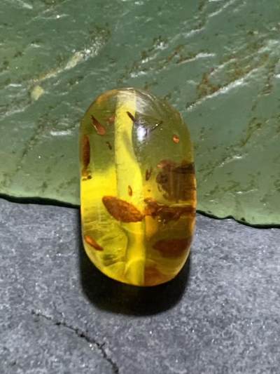 乌克兰花珀随形珠一个。 - 乌克兰花珀随形珠一个。