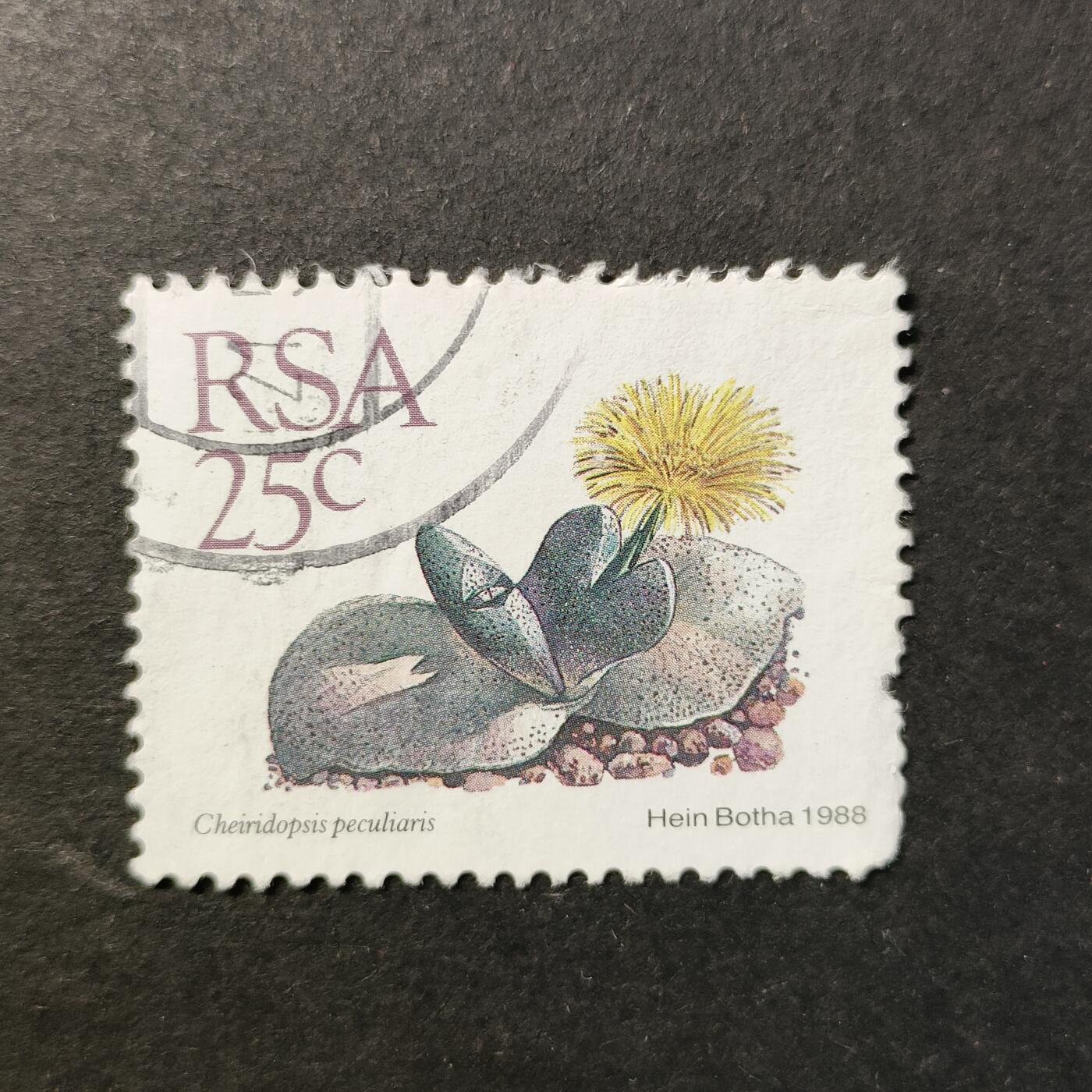 嘉禾收藏    【第419期】            无佣金、可寄存、满30元包邮