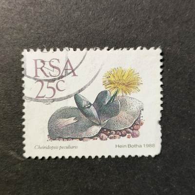 嘉禾收藏    【第419期】            无佣金、可寄存、满30元包邮 - 邮票一枚