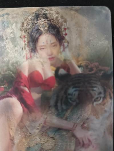 花开卡拍第53期（12月28号周日截拍，品控勿拍!!!拍品不寄存，运费5元，自制卡难免瑕疵，可能存在轻微撞角爆边等出厂瑕疵，品控介意勿拍！） - 卡友自制 铁扇 孙鲁班 双人变换光栅卡，1张