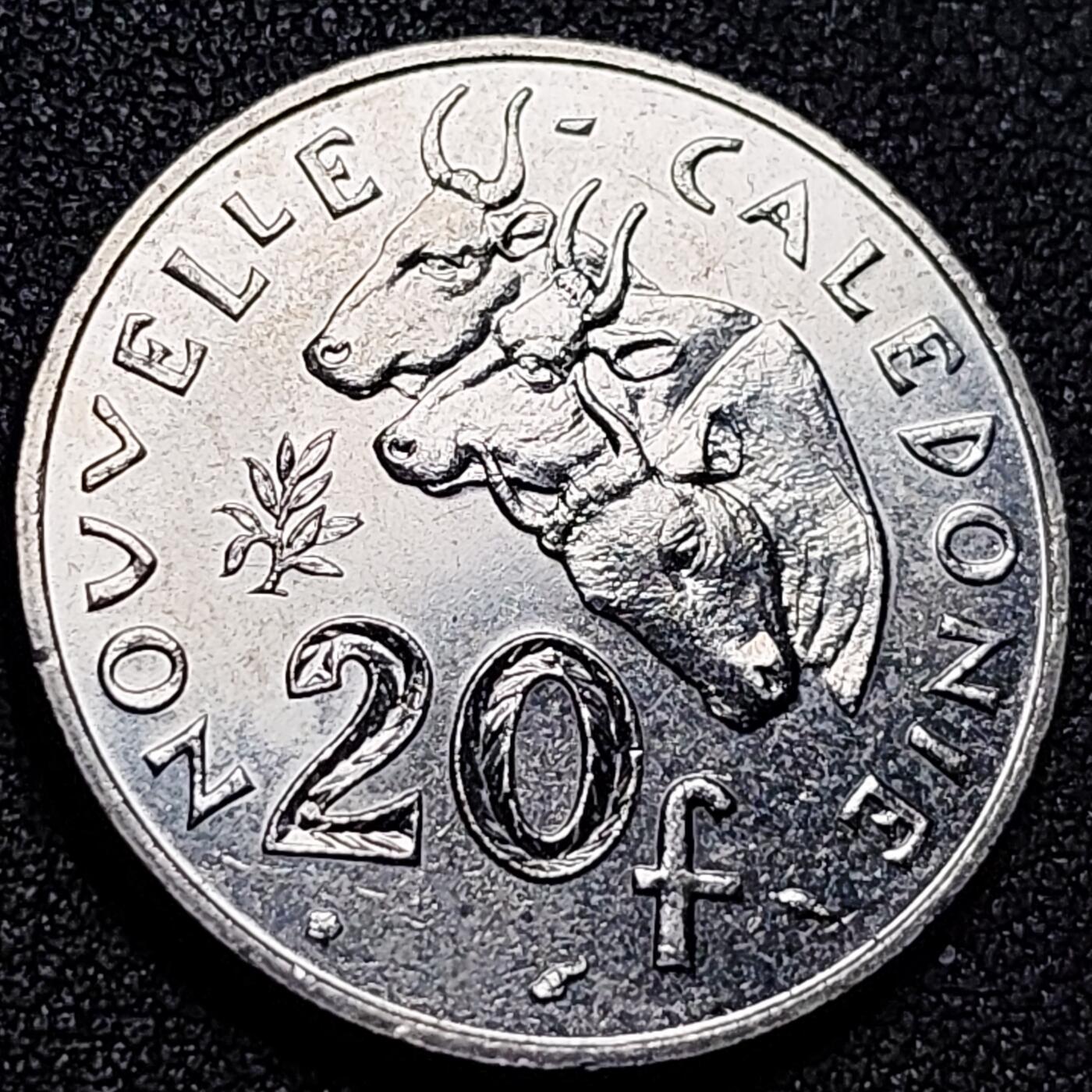 泉币菌-第155场-精品福利场 。