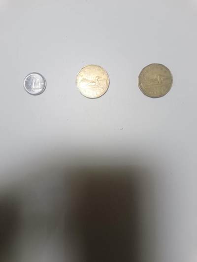 【20251230】非全新纸币和硬币第319场 - 加拿大2.1加元