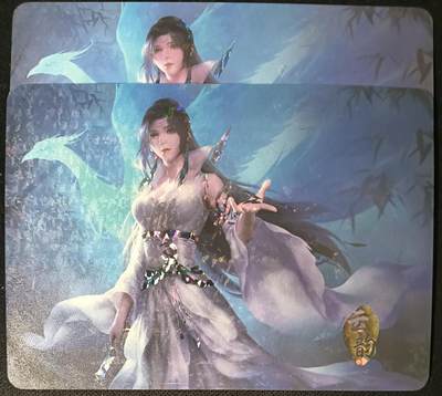 花开卡拍第53期（12月28号周日截拍，品控勿拍!!!拍品不寄存，运费5元，自制卡难免瑕疵，可能存在轻微撞角爆边等出厂瑕疵，品控介意勿拍！） - 冰狗卡牌 艺术对卡 斗破苍穹云韵 2张