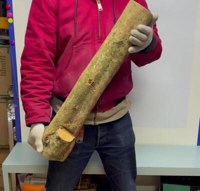 零元拍： 1225-2金丝楠 原木 风水柱 横财（材）带皮， 尺寸：67/9.5/19/14.5CM。抛光后金灿灿满香。最后图为成品效果