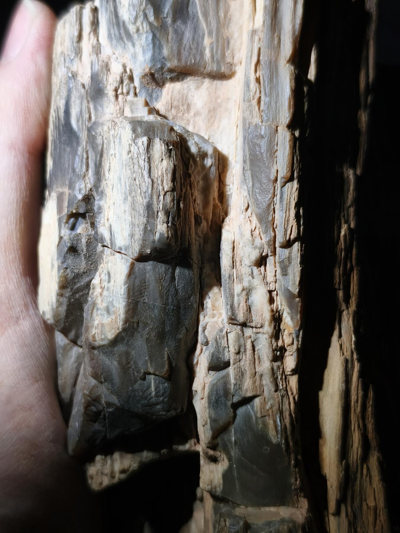 99期回流戒指饰品杂件纪念章丝路钱币专场 新疆观赏石