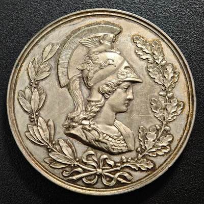 【德藏】世界币章拍卖第159期(元旦专场拍卖) - 1884年 德国特普利茨厄尔士山脉首届电气与家庭工业博览会纪念镀银大铜章 图案立体 浮雕感强 直径约：60.5mm；重约：78.3g