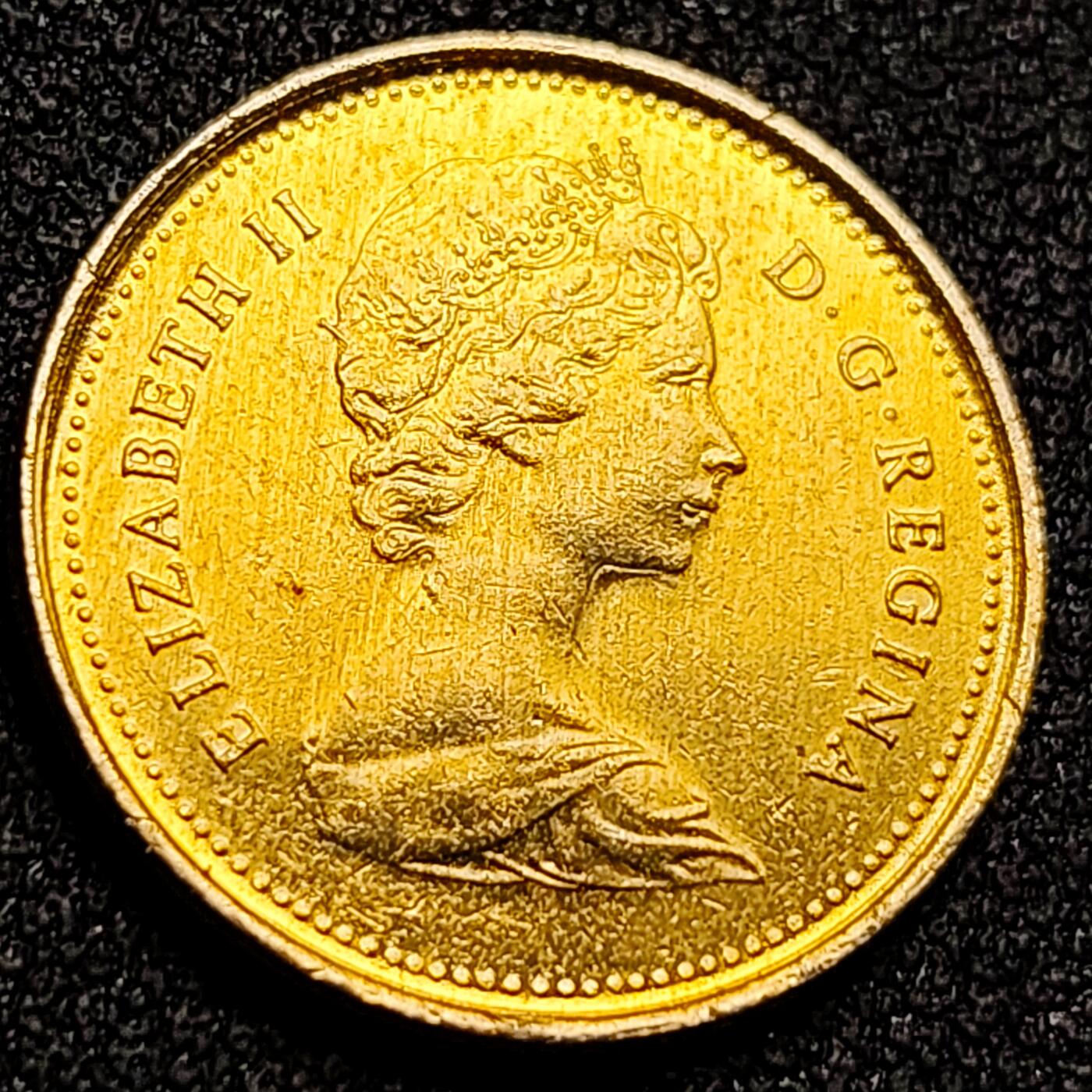 泉币菌-第155场-精品福利场 。