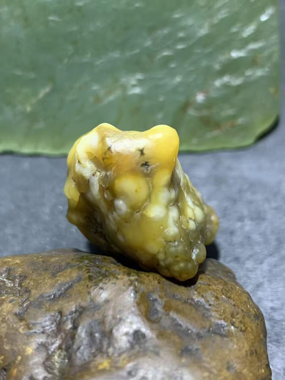 精美戈壁鱼籽纹筋脉石原石一颗，