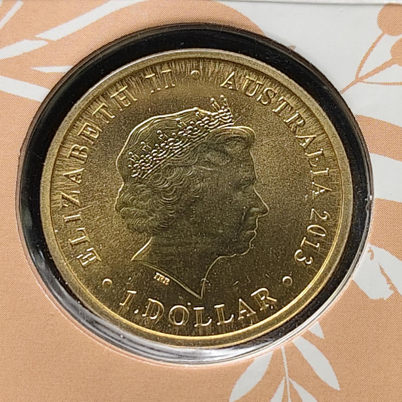 【全场包邮】纯粹捡漏拍491场（免费代拍第28场） 澳大利亚2013年1元荒野宝宝系列负鼠澳大利亚邮政官方PNC纪念邮币封