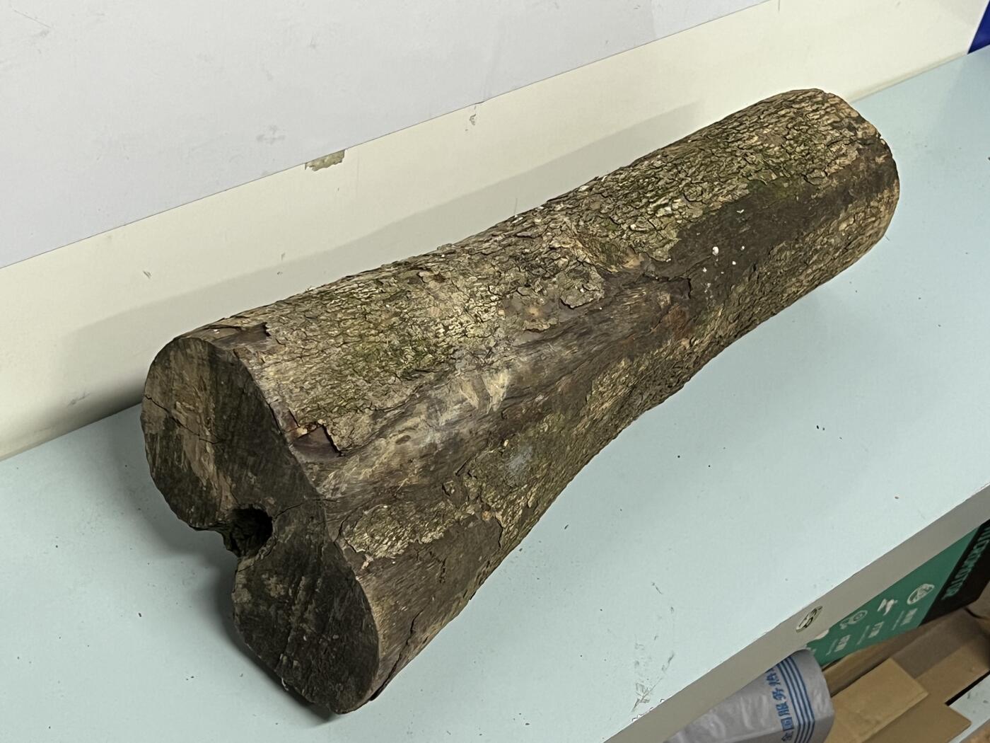 零元拍： 1225-1 金丝楠 原木 风水柱 横财（材）带皮， 尺寸：46.5/11.5/19/10.5/CM。