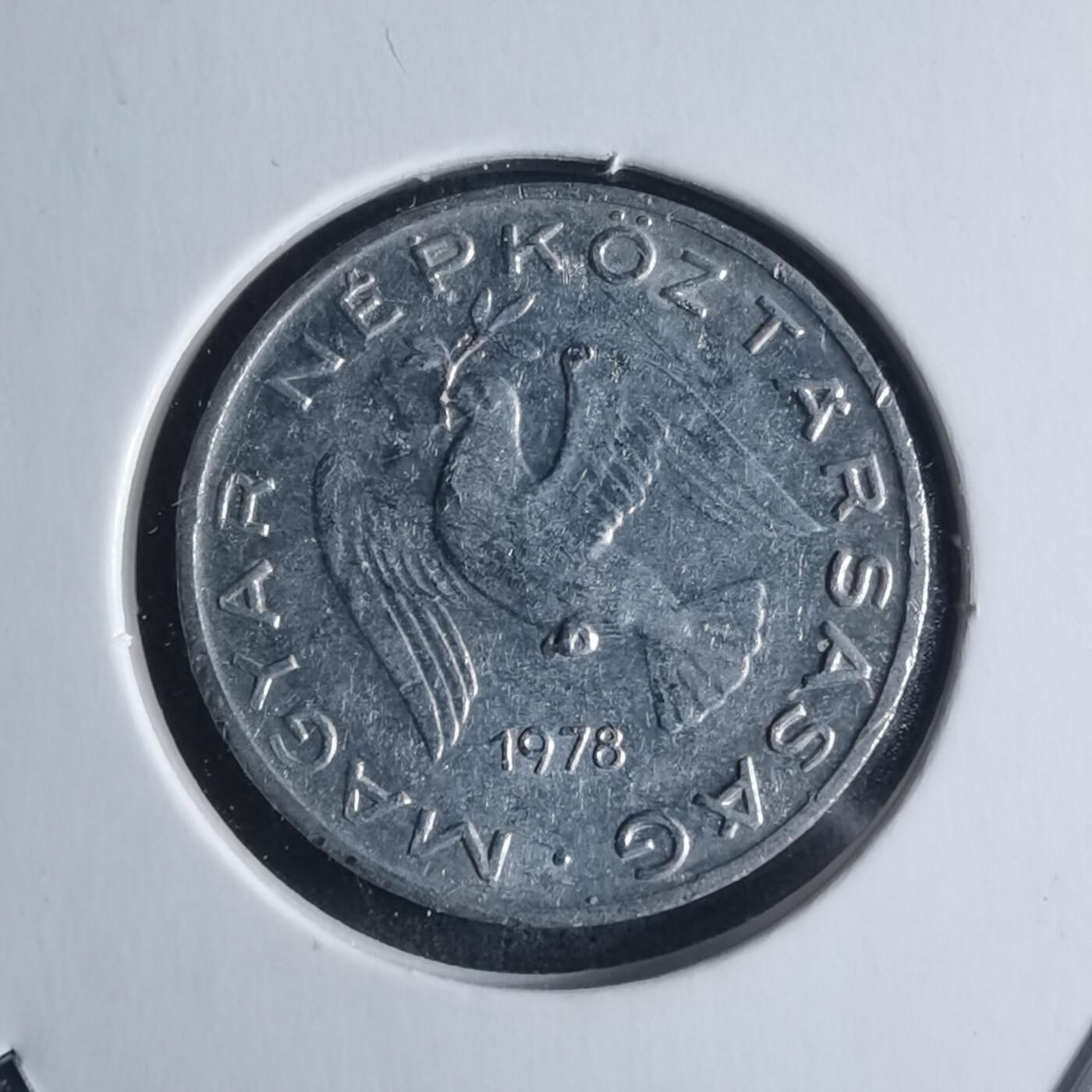 沼泽如烟--第946场