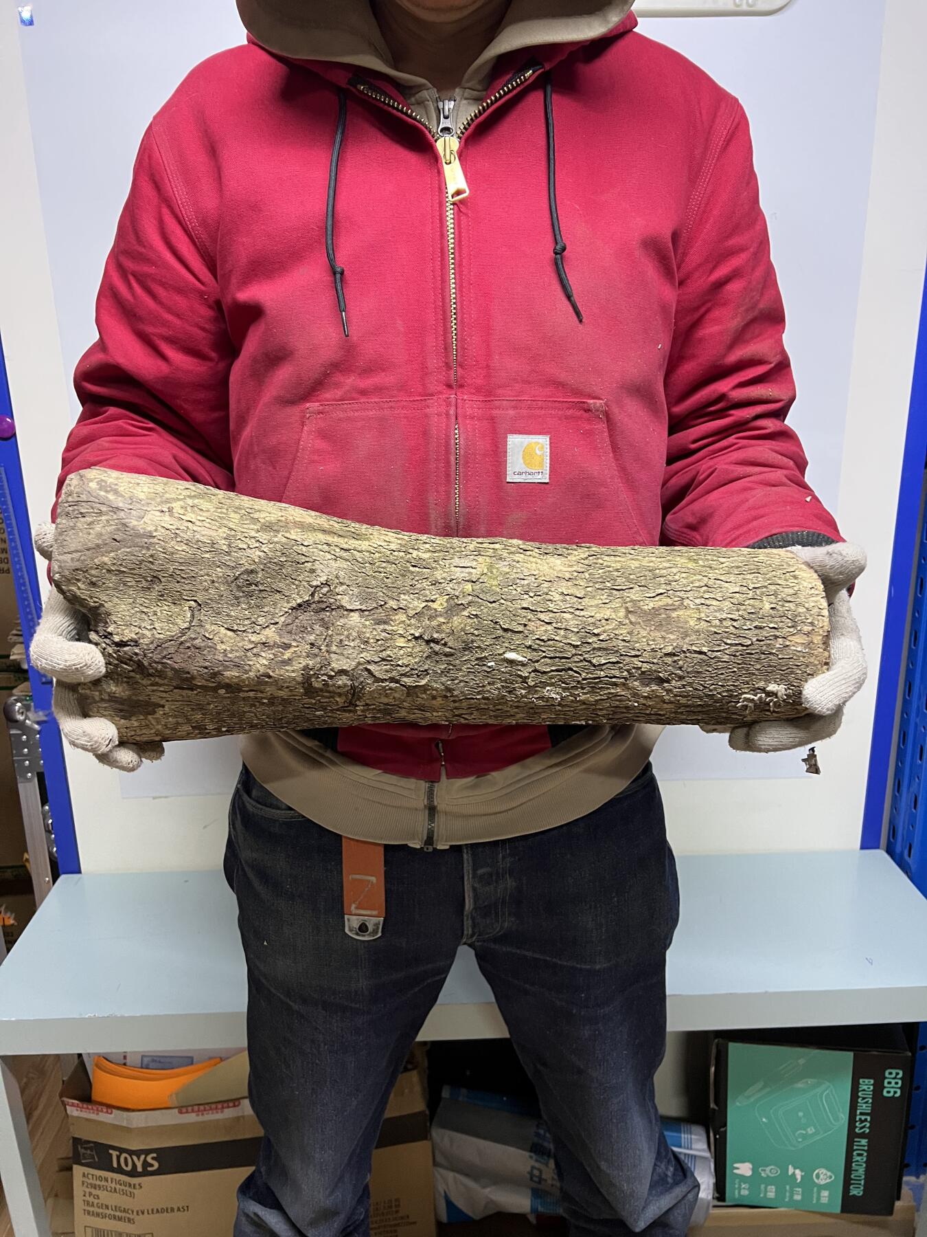 零元拍： 1225-1 金丝楠 原木 风水柱 横财（材）带皮， 尺寸：46.5/11.5/19/10.5/CM。