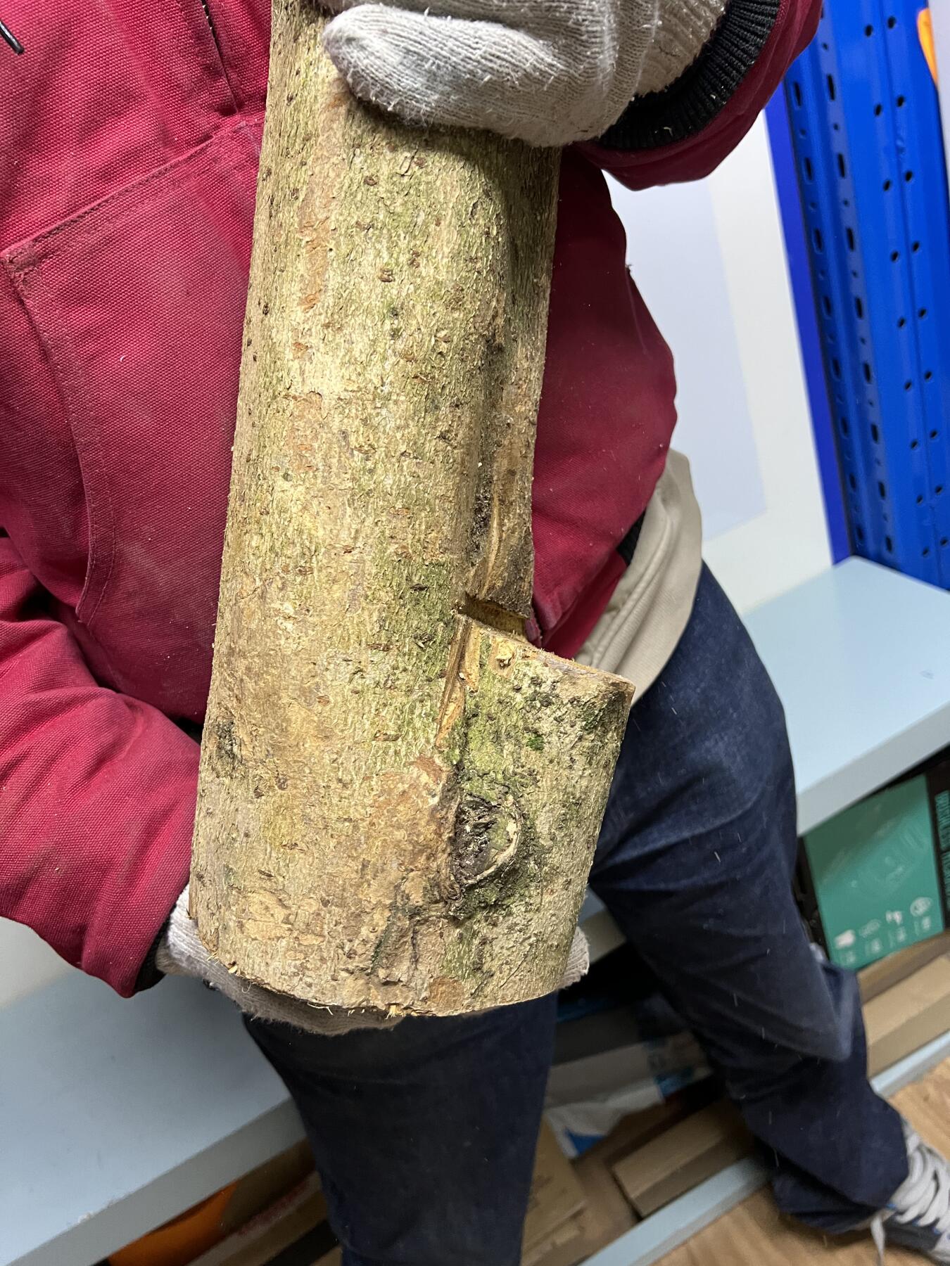 零元拍： 1225-2金丝楠 原木 风水柱 横财（材）带皮， 尺寸：67/9.5/19/14.5CM。抛光后金灿灿满香。最后图为成品效果