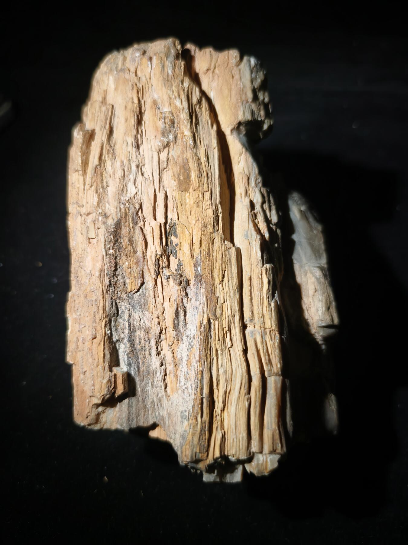 99期回流戒指饰品杂件纪念章丝路钱币专场 新疆观赏石