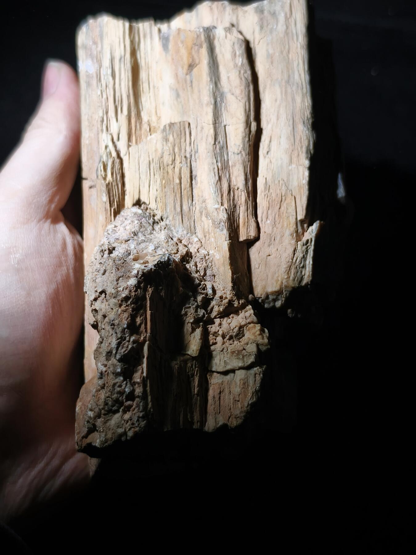 99期回流戒指饰品杂件纪念章丝路钱币专场 新疆观赏石