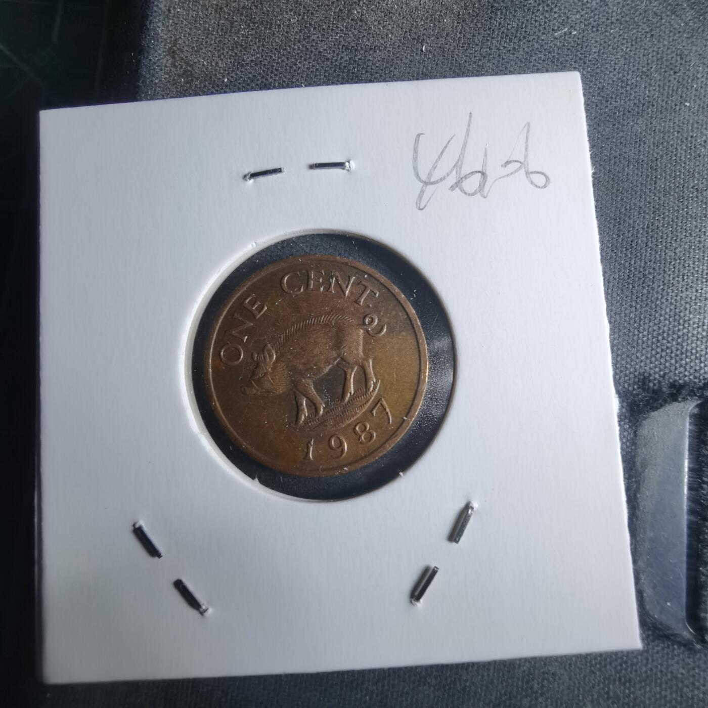 沼泽如烟--第946场 百慕大1987年一分