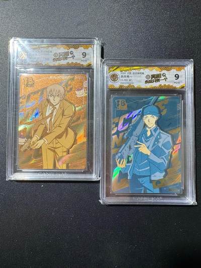 NO.19 好又多金牌大场，新店点关注不迷路！每周一站式配齐，方便凑单！（周6晚8点截拍，卖家送拍0抽成！） - 卡游 名侦探柯南 两张 9分