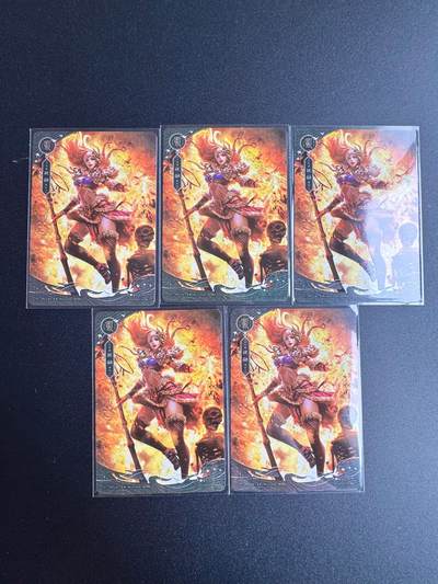 NO.19 好又多金牌大场，新店点关注不迷路！每周一站式配齐，方便凑单！（周6晚8点截拍，卖家送拍0抽成！） - 三国杀 祝融 5张