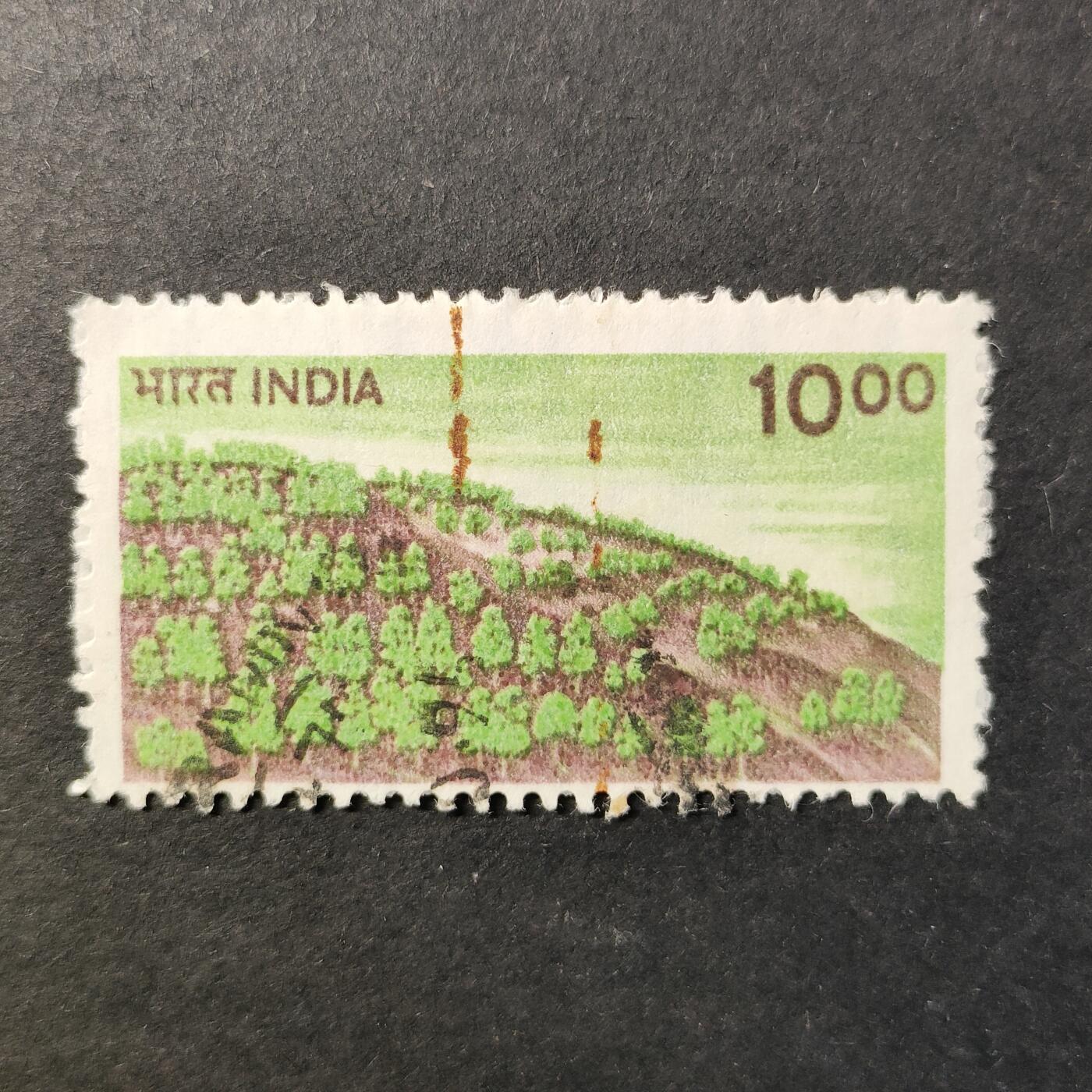 嘉禾收藏    【第420期】            无佣金、可寄存、满30元包邮 邮票一枚