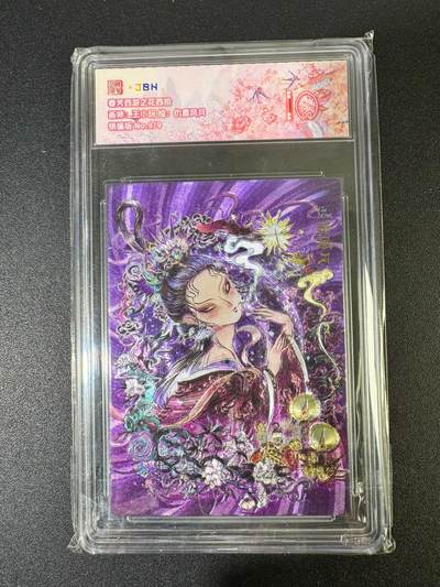 NO.19 好又多金牌大场，新店点关注不迷路！每周一站式配齐，方便凑单！（周6晚8点截拍，卖家送拍0抽成！） - 【9/9银编版】春芳西游 网校玩 仇毒风月 粗闪 10分