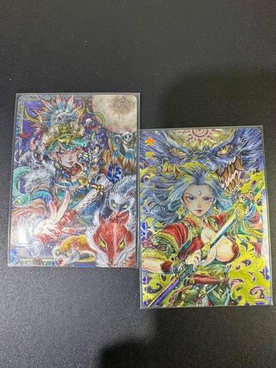 NO.19 好又多金牌大场，新店点关注不迷路！每周一站式配齐，方便凑单！（周6晚8点截拍，卖家送拍0抽成！） - 卡萃 李尊奇 萨满 女武神 粗闪一对